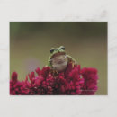 Recherche de fleurs japonaises cartes postales Nature