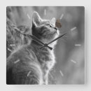 Recherche de nez horloges Chat