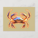 Recherche de de crabe cartes postales Littoral