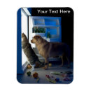 Recherche de marcheurs magnets Marcheur de chiens