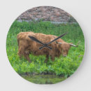 Recherche de vache horloges Maison
