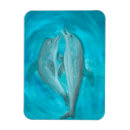 Zoek naar dolfijnen magneten Waterverf