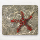 Recherche de mer rouge tapis souris Photographie