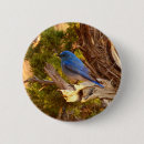 Recherche de merle badges Oiseau
