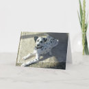 Recherche de chiots toutes vœux cartes Photographie