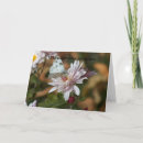 Recherche de prières vœux cartes Papillon