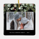 Zoek naar winter berries ornamenten Botanisch