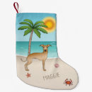 Recherche de italien chaussette de noël Iggy
