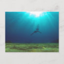 Zoek naar snorkelen briefkaarten Duiken