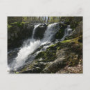 Zoek naar runen briefkaarten Natuur