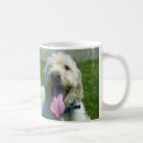 Zoek naar labradoodle mokken Labradoedle