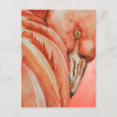 Recherche de flamingo vœux cartes Fête