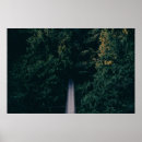 Recherche de le pont photographie Arbres