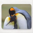 Zoek naar pinguïn liefde muismatten Wilde dieren