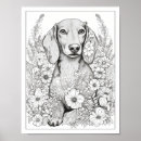 Zoek naar dachshund dog kunst Schattig