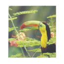 Recherche de oiseau coloré blocsnotes Animal