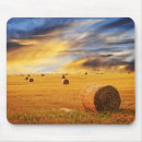 Recherche de agricole tapis souris Agriculture