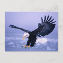 Recherche de envergure cartes postales Aigle
