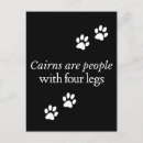 Recherche de de terrier de cairn cartes postales Terriers