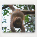 Recherche de animaux sauvages tapis souris Animal