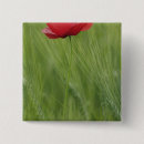 Recherche de coquelicot badges Champ