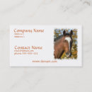 Recherche de cheval quart cartes visite Chevaux