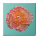 Recherche de pivoines carreaux Fleurs