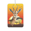 Recherche de zoo voiture accessoires Safari