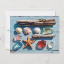 Zoek naar zeesterren briefkaarten Nautisch