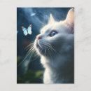 Recherche de chat et papillon cartes postales Chaton