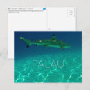 Recherche de requin cartes postales Sous marin