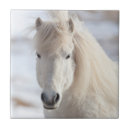 Zoek naar paarden tegels Foel