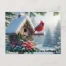 Recherche de oiseaux de noël cartes postales Faune