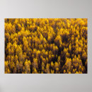 Recherche de beaux paysages posters Sauvage