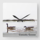 Zoek naar watervogels klokken Dieren