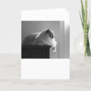 Recherche de chat noir mignon vœux cartes Noir et blanc