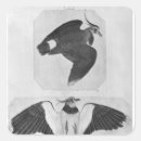 Recherche de pisanello autocollants Bec