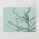 Recherche de tordu cartes postales Arbre