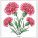 Zoek naar anjers stickers Roze