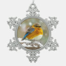 Recherche de oiseaux de merle ornements Oiseau bleu