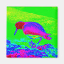Recherche de huîtres magnets Oiseau