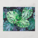 Recherche de tropiques cartes postales Botanique