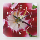 Recherche de tulipe horloges Rouge