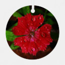 Recherche de gouttes pluie ornements Floral