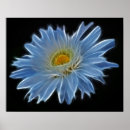 Recherche de marguerite posters Noir