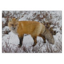 Recherche de renard ustensiles cuisine Arctique