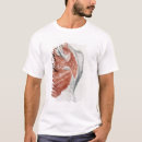 Zoek naar anatomie kleding Anatomisch