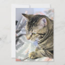 Recherche de puzzles vœux cartes Animal