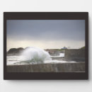 Recherche de le rhode island Nature