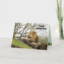 Zoek naar grappige leeuw kaarten For him